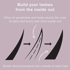Neutrogena Healthy Volume Lash-Plumping Mascara, Volumizing and Conditioning Mascara with Olive Oil to Build Fuller Lashes, Clump-, Smudge- and Flake-Free, Black 02, 0.21 oz (Pack of 2)